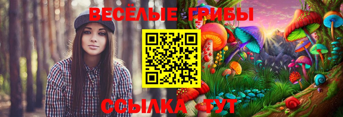 Псилоцибиновые грибы Cubensis  Вход с VPN  Жуковский  Галлюциногенные грибы MAGIC MUSHROOMS 