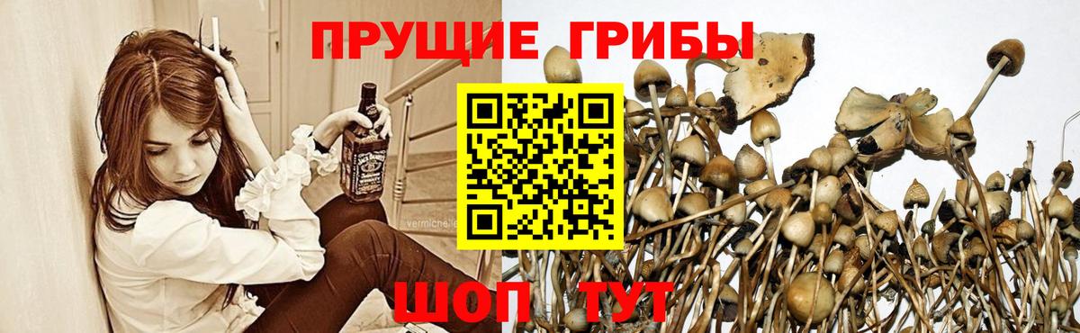 Псилоцибиновые грибы мухоморы Жуковский
